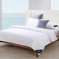 BOSS HUGO BOSS HBCS-007 压花 LOGO 桑蚕丝