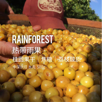 Jasblu咖啡熟豆 热带雨果 Rainforest单品咖啡豆 500克/袋,口味随机