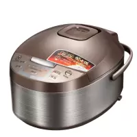 家用多功能智能电饭锅4L 20个起购