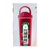 动康 1.5L拎桶杨梅汁