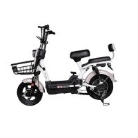 阿米尼 电动车 TDT1813 更安全的电动车