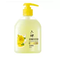 500ml六神抑菌洗手液(金盏菊)(5瓶装)