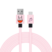 奕狐 任天堂Switch数据线ns延长线lite外设配件typec充电线2米支持手机快充 粉色