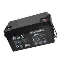 山克 SK65-12 蓄电池