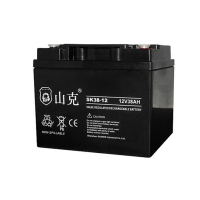 山克 SK38-12 蓄电池