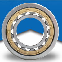 轴承RS轴承 TMB圆柱滚子轴承N309EM/Z1 45*100*25