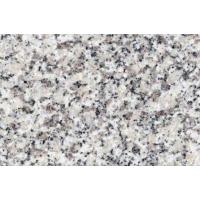 田之梦 T-7 花岗岩芝麻白地砖 约60㎝*60㎝*3㎝（一块装）