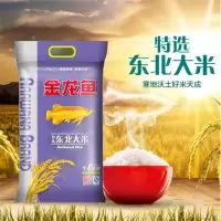 金龙鱼大米 特选东北大米 圆粒新米 嚼劲大米 10斤家庭装 5KG