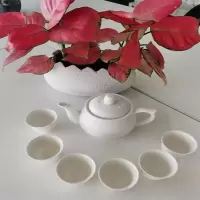 大白茶具（1个大壶+6个杯）