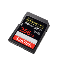 闪迪 SANDISK SDSDXXY-256G-ZN4IN 256G 存储卡