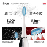 ZNC皇家盾牌电动牙刷ZH3802
