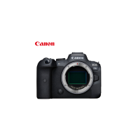 佳能（Canon） 微单机身 全画幅微单 4K视频拍摄 配合镜头实现双重8级防抖 动物检测 EOS R6