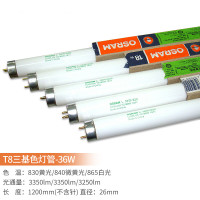 T8 36W 865 白日光 25根/箱