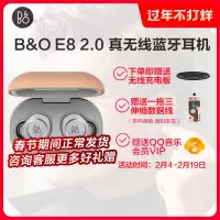 B&O Beoplay E8 2.0二代真无线运动蓝牙耳机无线充电入耳式降噪 灰棕色