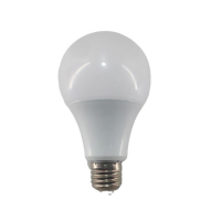 led低压灯泡 12V-48V 5W 单位:支