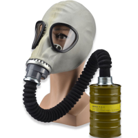 邦固 长管防毒全面具自吸过滤头盔式 防毒面具+0.5米导气管+3级滤毒罐（A/B/E/K）