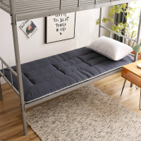 LZ 褥子 软垫四季透气优质加厚