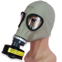 邦固 防毒面具 自吸过滤头戴式 MF1A P-CH2O-2(甲醛)
