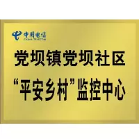 REMAX P-012 钛金牌 广告牌匾 金属牌 40cm*60cm