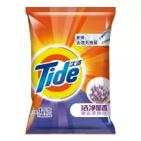 汰渍去渍无磷洗衣粉 洁净薰香洗衣粉 1kg/袋(BY)