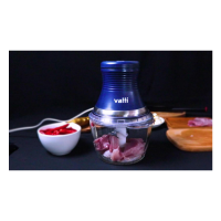 华帝多功能绞肉机