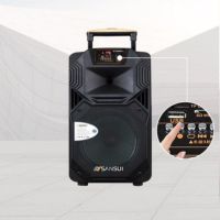 山水SS1-15广场舞音响 双手持配置