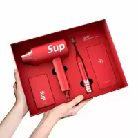艾优 ApiYoo SUP电动牙刷吹风机礼盒 G4