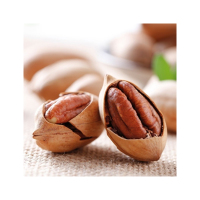 三只松鼠森林大礼包1498g