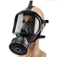 邦固 防甲醛防毒面具自吸过滤 防毒面具+三级综合滤毒罐