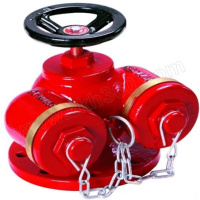 HUAXI/华西 多用式地上消防水泵接合器 SQD100-1.6A 1个