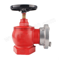 HUAXI/华西 消火栓 减压栓/稳压栓 SNW65-I 1个