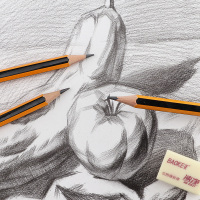 宝克(baoke) PL-1671 原木书写铅笔 六角杆素描绘图学生铅笔 商务办公纯木铅笔 HB黄色笔杆 12支/盒