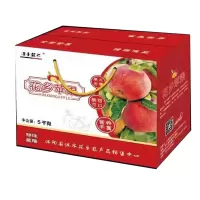 [江苏扶贫][财政集采][沭阳]水花乡苹果5000g
