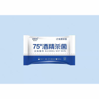 迪奥尼75%酒精湿巾10包/组
