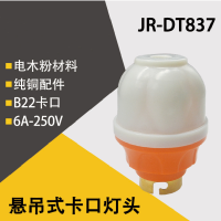 沃尔烁(WOERSHUO)JR-DT837B22灯头悬吊式卡口25个