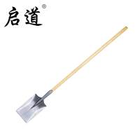 启道全钢加厚大铁锹 挖土种菜种花多功能户外铲子园艺工具 泥锹(带直柄)