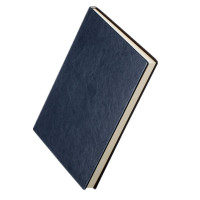 得力(deli) 商务办公笔记本 3306 5本装 蓝色