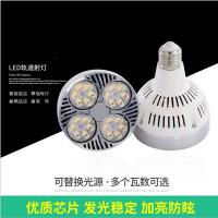 PAR30轨道射灯30W暖光