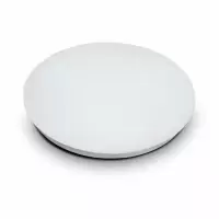 HJPC 声控吸顶灯 灯具10w(计价单位:个)