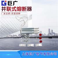 高压熔丝 上海巨广 RW12-10F/200A