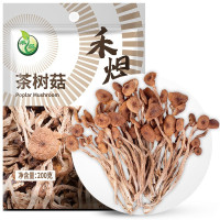 禾煜 福建古田茶树菇 鲜嫩不开伞 南北干货 火锅煲汤材料 200g*5