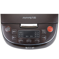 九阳 铁釜电饭煲 F-50T12 LN