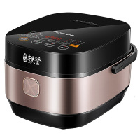 九阳 铁釜电饭煲F-40T9 LN