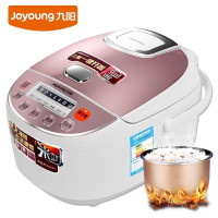 九阳 电饭煲电饭锅 JYF-30FE05 LN