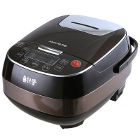 九阳 铁釜电饭煲F-40T12 LN