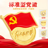 党徽别针式 10个装