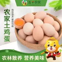 [五个农民] 新鲜40枚正宗土鸡蛋1600g 农村散养鸡蛋新鲜高营养