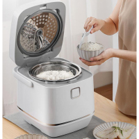 韩国大宇电饭煲 FB05