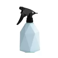 国产 喷壶 600ML