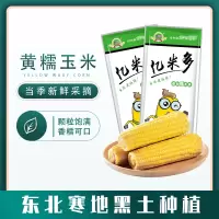 亿米多 东北黄糯玉米5棒新鲜粘黏甜真空袋装非转基因即食减肥餐